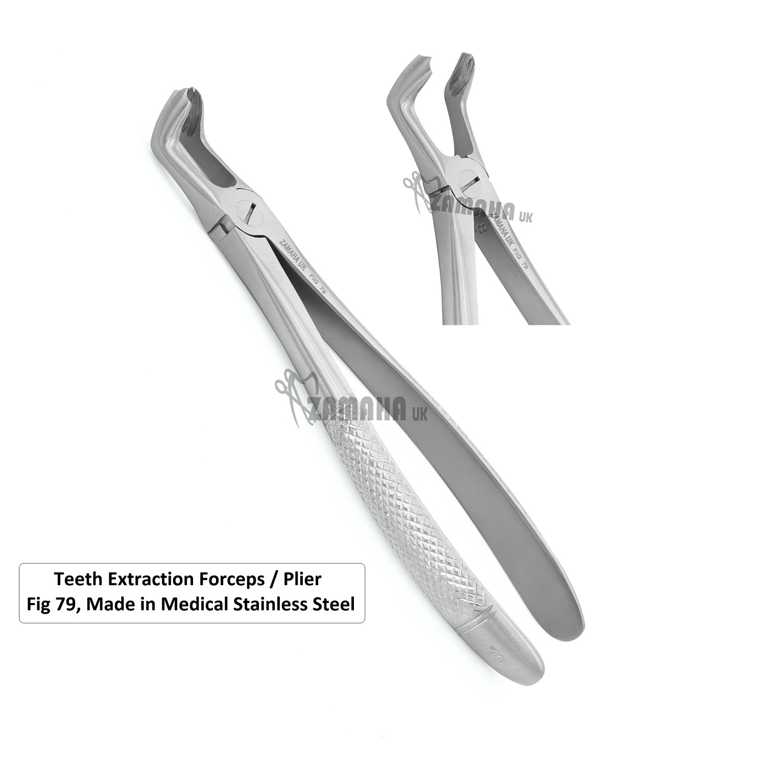 extracting-forceps-01-Copy.jpg
