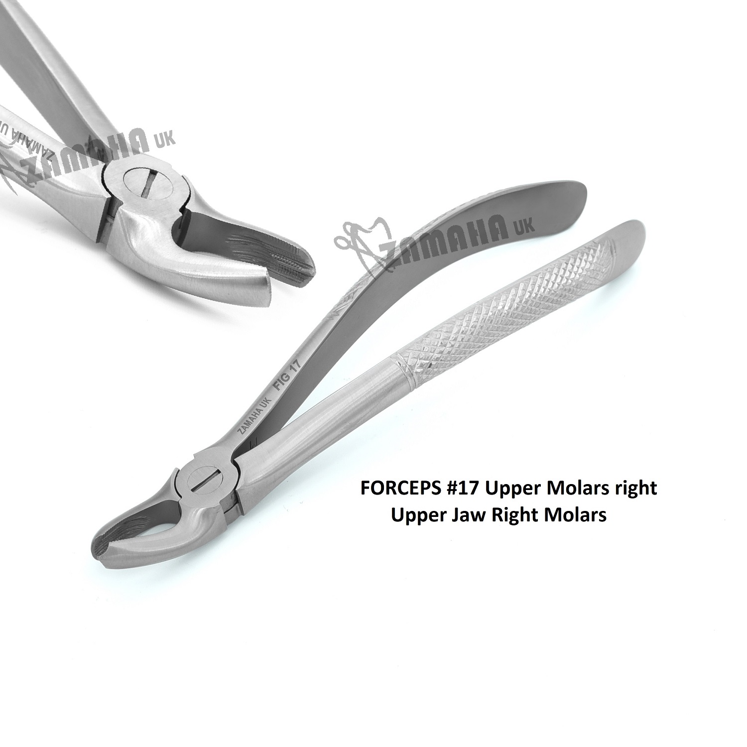 tooth-extracting-forceps-17-amz1-Copy.jpg