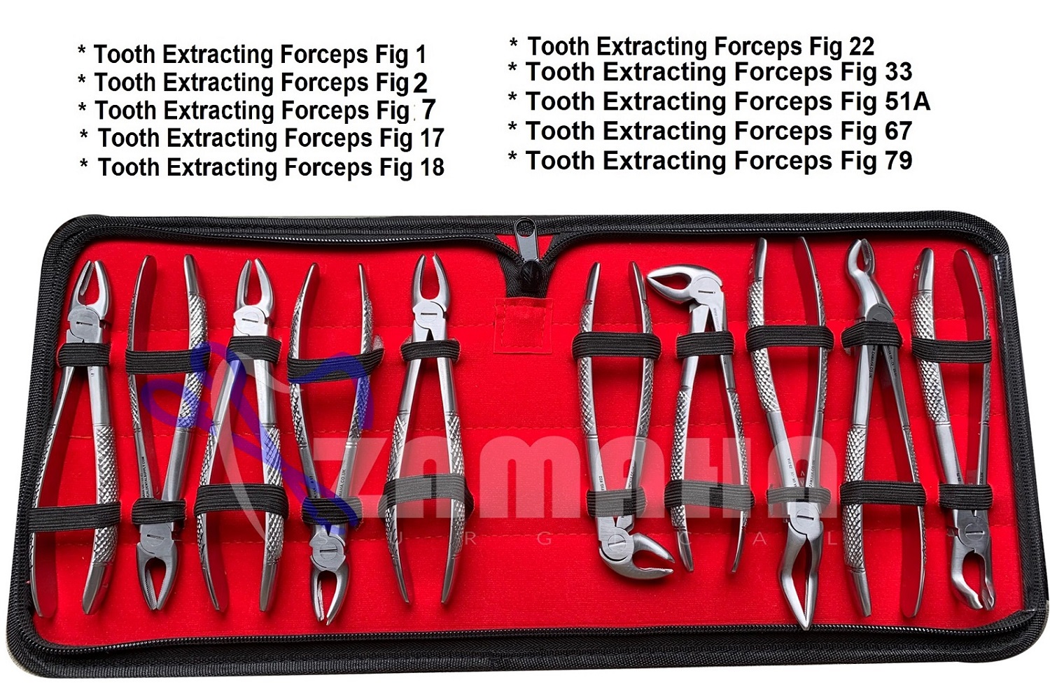 tooth-extracting-kit-10-pcs-satin1a-for-web.jpg